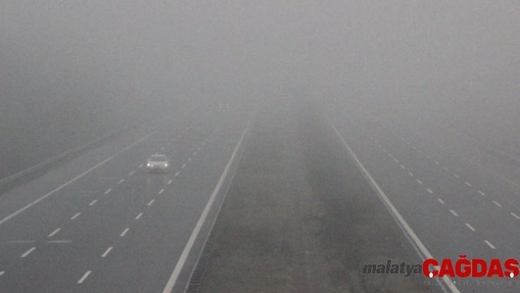 Düzce'de sis etkili oldu