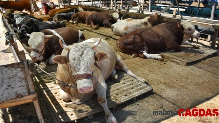 E-ticarette 'Bayram' bereketi