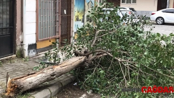 Edremit'te poyraz fırtınası çatıları uçurdu, ağaçları devirdi