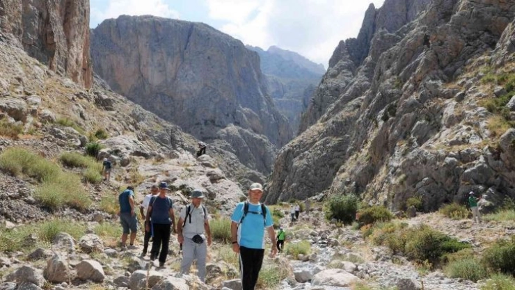 Eğitimciler Demirkazık eteklerinde sağlıklı yaşam yürüyüşü yaptı