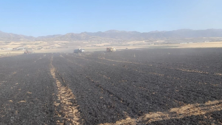 Elazığ'da 50 dönüm buğday ve arpa ekili alan yandı