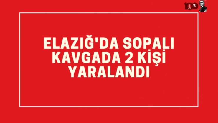 Elazığ'da husumetli aileler arasında çıkan sopalı kavgada 2 kişi yaralandı
