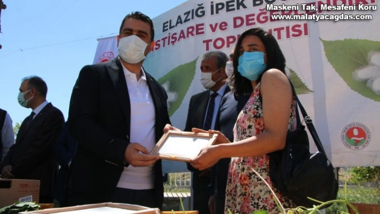 Elazığ'da ipek böcekçiliği yeniden canlanıyor
