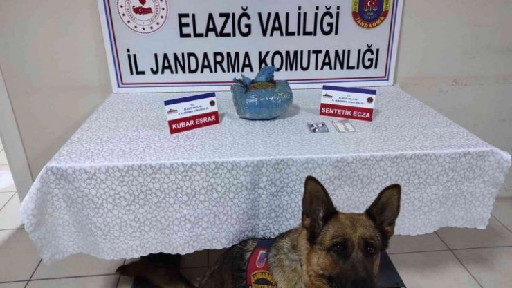 Elazığ'da uyuşturucu operasyonu: 1 gözaltı