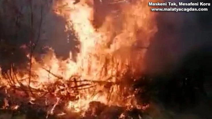 Elazığ'da yangın: 4 bahçe zarar gördü
