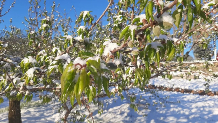 En kısa sürede destek sağlanacak