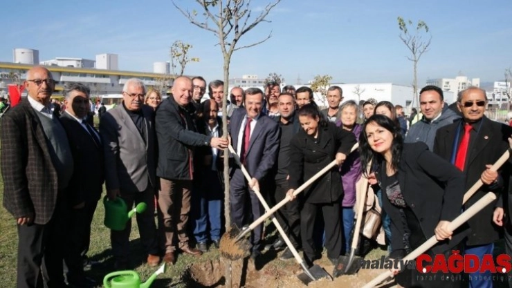 Engelsiz bir dünya için ağaç diktiler