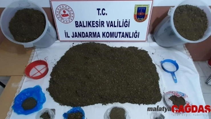 Erdek'te jandarma ormanda uyuşturucu ele geçirdi