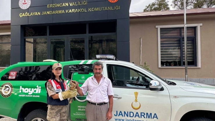 Erzincan'da bulunan şahin yavrusu koruma altına alındı