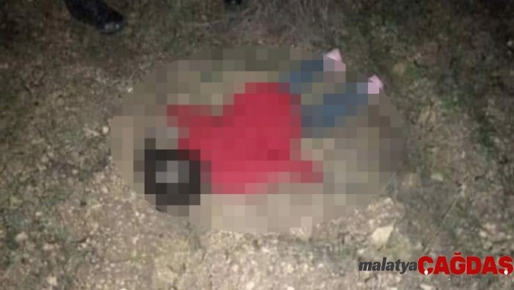 Esad'ın saldırılarından kaçan Minik Erva kayboldu, donarak öldü