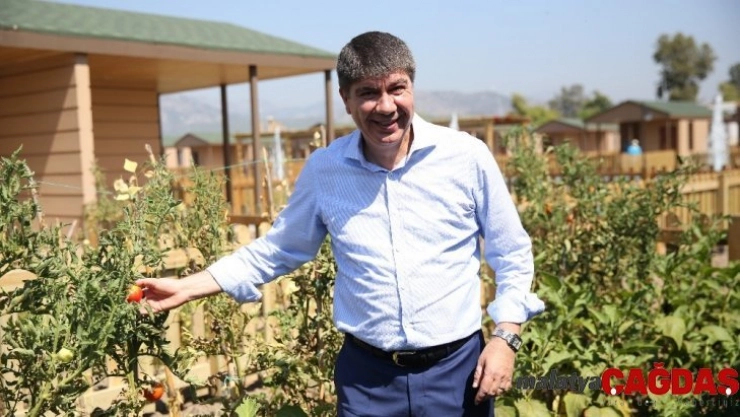 Eski Başkan Türel'den kar maskeli şüpheli ihbarı