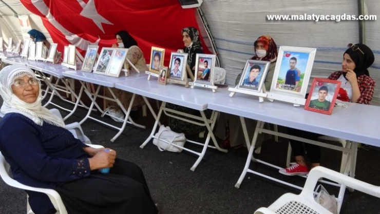 Anne Koç 40 yıldır bu fakir fukara çocuklarını dağa götürüp öldürüyor