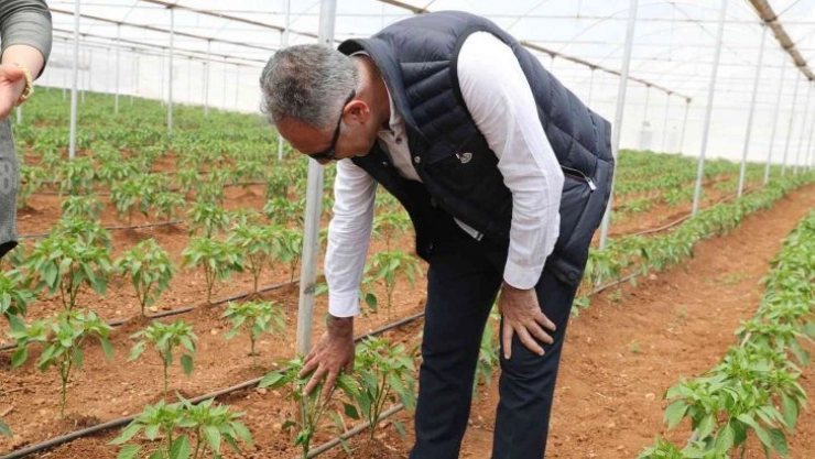 Eyyübiye seraları açılışa gün sayıyor