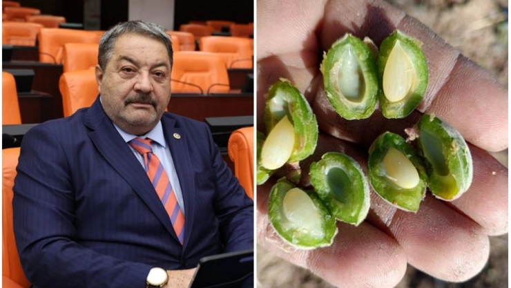 Fendoğlu: 'Devletimiz ve ilgili birimler konuyu hassasiyetle takip etmektedir'