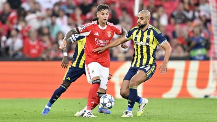 Fenerbahçe, Devler Ligi'ne Veda Etti