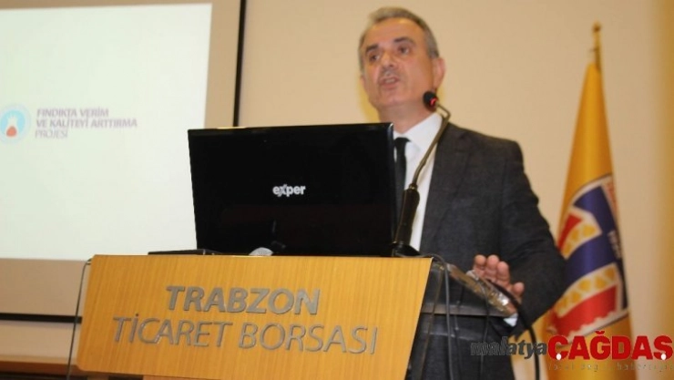 Fındıkta Verim ve Kaliteyi Artırma Projesi