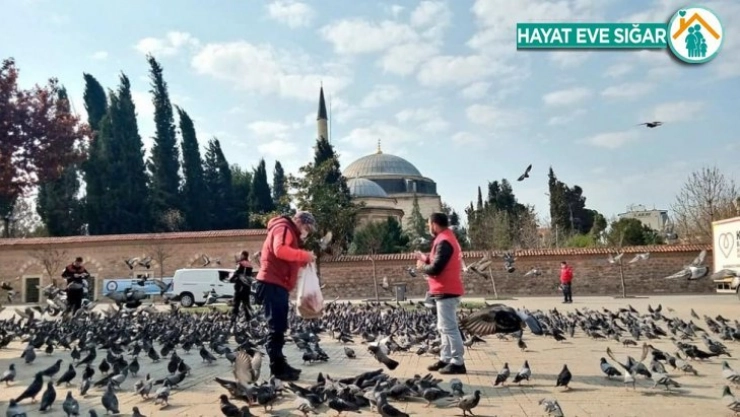 Gençlik Merkezleri sokak hayvanlarını unutmadı