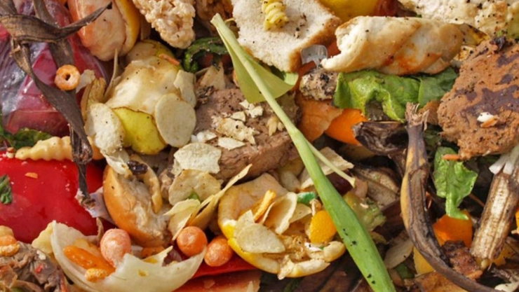 Gıda ürünlerini çöpe atarak israf etme sıklığı arttı