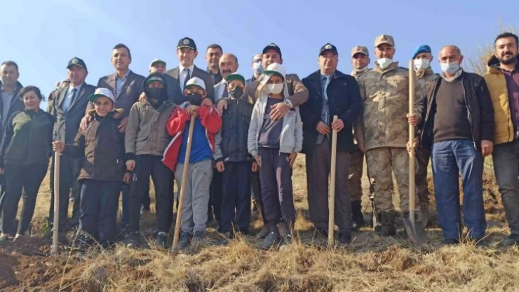 Gölbaşı ilçesinde fidanlar toprakla buluşturuldu