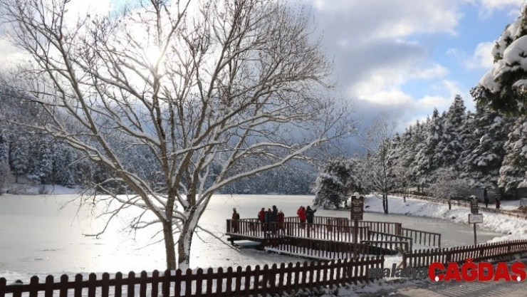 Gölcük Tabiat Parkı'ndaki göl buz tuttu