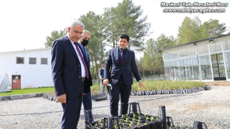 Güder, özel sera alanında incelemelerde bulundu