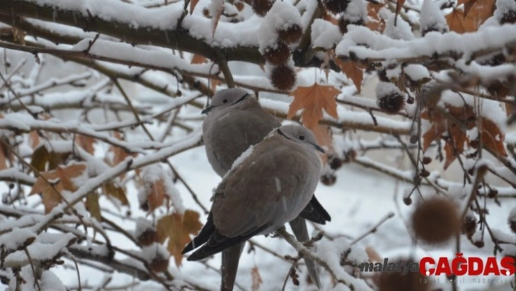 Günyüzü beyaza büründü