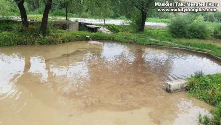 Gürün'de sel, tonlarca alabalık kayıp