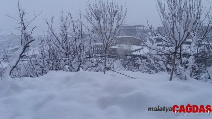 Hakkari'de 259 yerleşim yeri ulaşıma kapandı