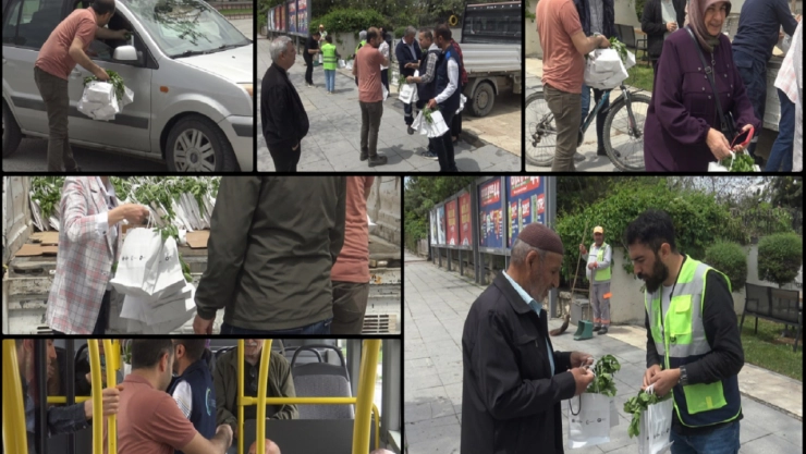 Ücretsiz fide dağıtıldı