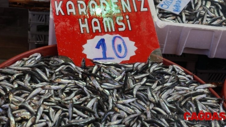 Hamsi yüz güldürdü