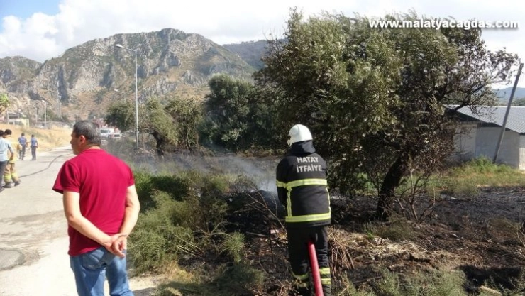 Hatay'da bahçe yangını korkuttu