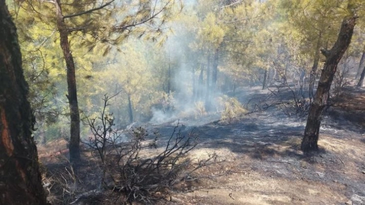 Hatay'da çıkan orman yangını kontrol altına alındı