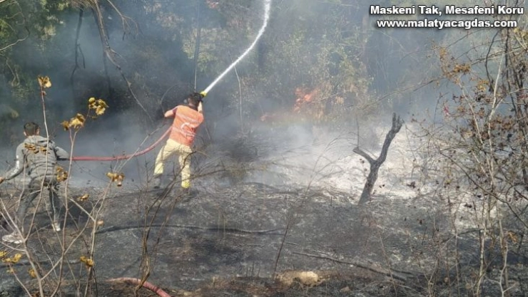 Hatay'da orman yangını