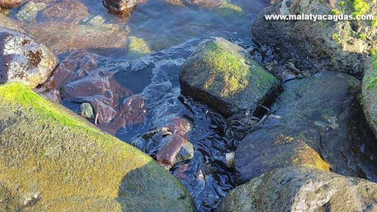 Hatay'da sahile vuran petrol atıklarına rağmen denizde yüzdüler
