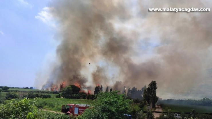 Hatay'da sazlık yangını