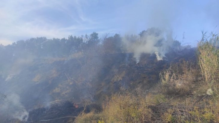 Hatay'da sazlık yangını
