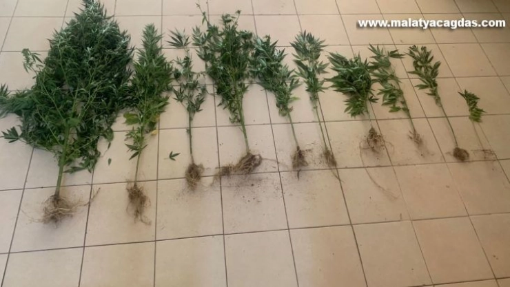 Hatay'da uyuşturucu operasyonu