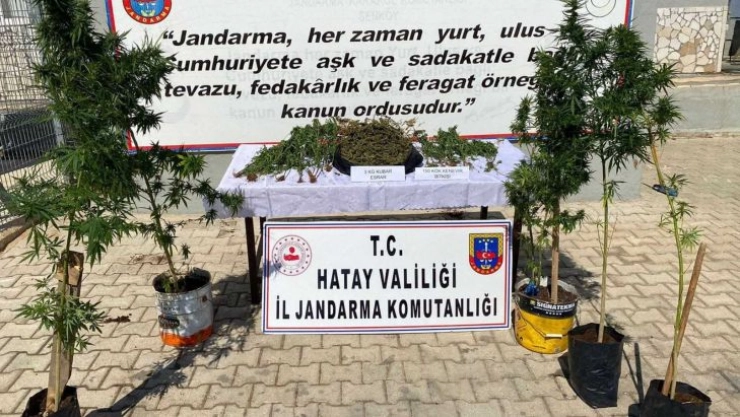 Hatay'da Uyuşturucu Operasyonuna 1 Tutuklama