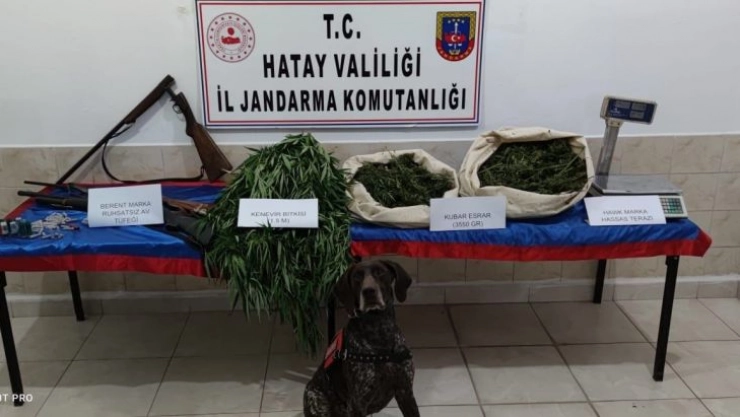 Hatay'da uyuşturucu operasyonuna 1 tutuklama