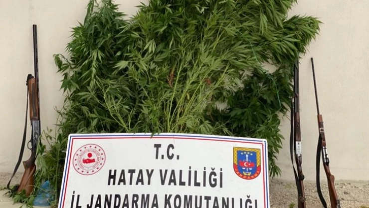Hatay'da uyuşturucu operasyonu