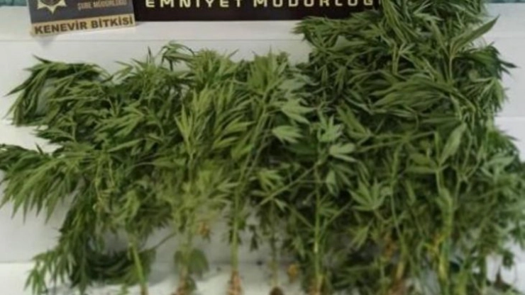 Hatay'da uyuşturucu operasyonu
