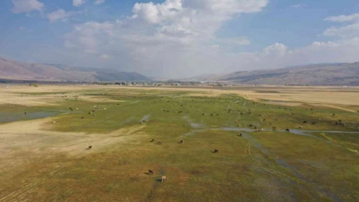 Havadan görüntülenen meralar ve beslenen hayvanlar eşsiz görüntüler ortaya çıkarttı