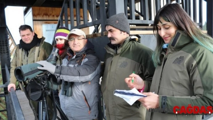 Hersek lagününde KOSK sayımı yapıldı