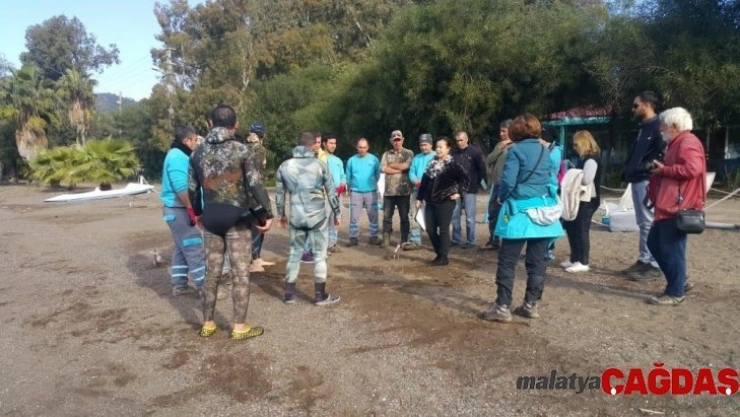 Hisarönün'de kış temizliği