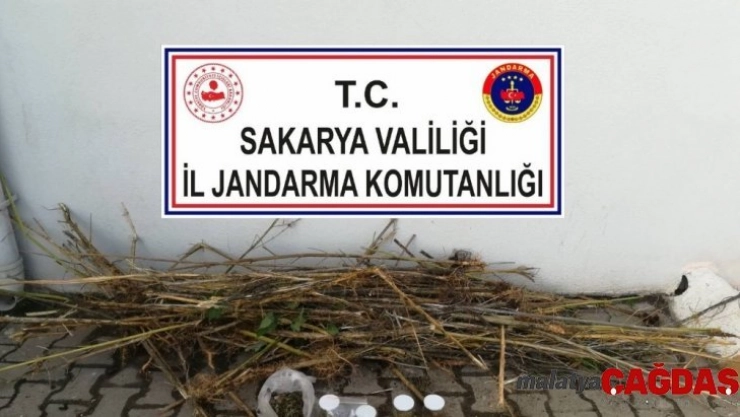 İş yerinde uyuşturucu eken bekçi tutuklandı