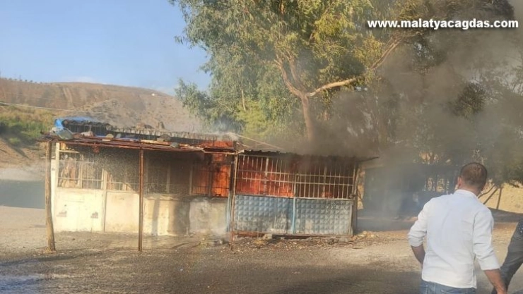 İskelede yangın çıktı, vatandaşlar seferber oldu