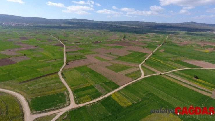Isparta, Burdur ve Afyonkarahisar'da toplulaştırma devam ediyor