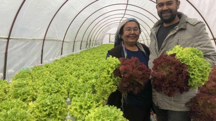 İstanbul'un kalabalığından kaçtı memleketinde topraksız tarıma başladı