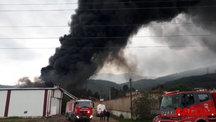 İzmir'de büyük yangın: Onlarca ekip bölgede