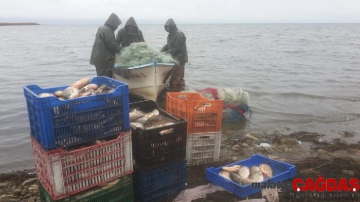 İznik gölü, nesli tükenen 'kepekleme' balığı kaynıyor